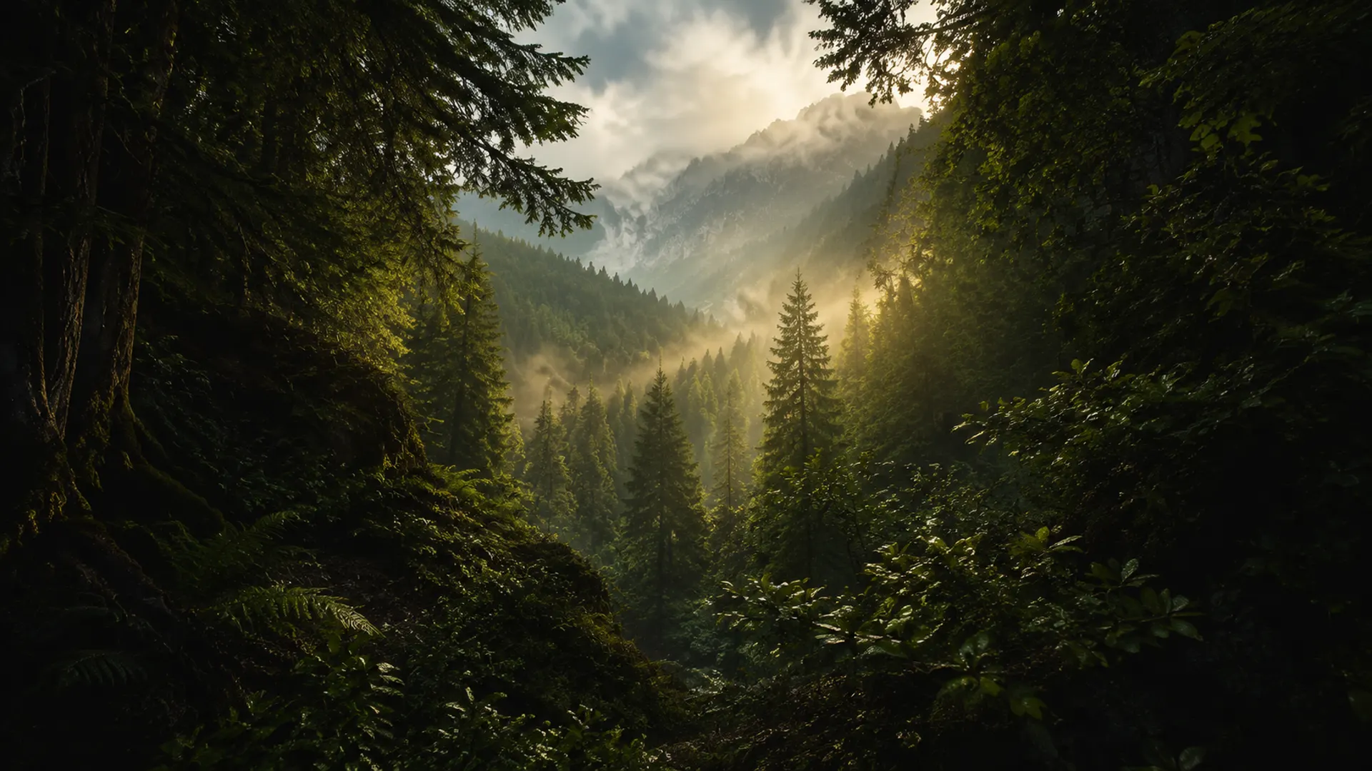 Deep green mountain forest